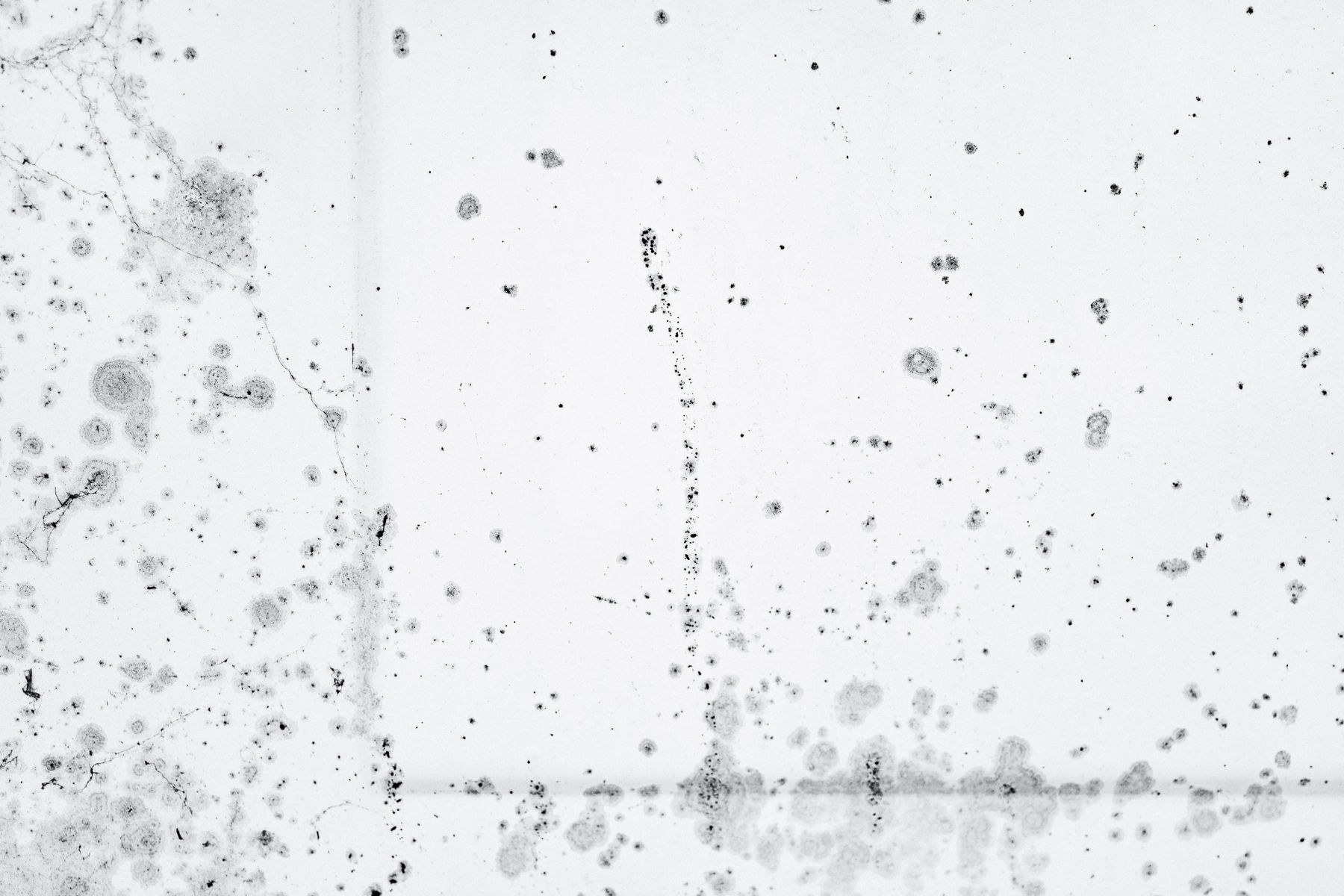 Schimmelbefall an einer Innenwand durch Feuchtigkeit